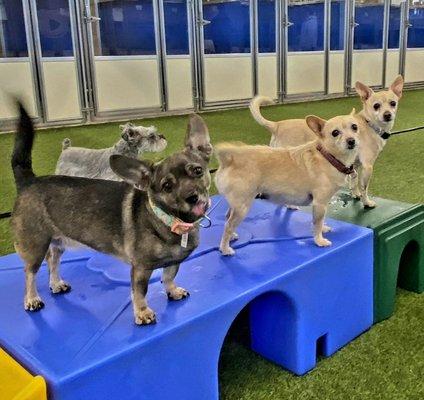 photo of Victoria M.