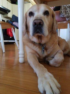 photo of Christian R.