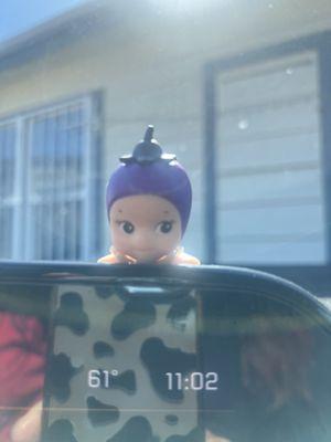 photo of Patricia B.