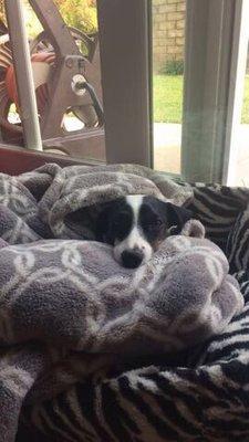 photo of Samantha W.