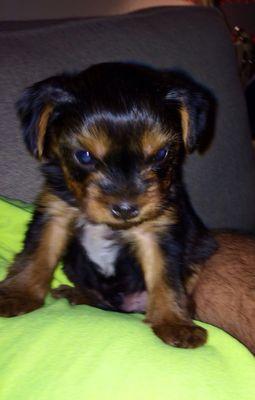 Photo of Finn M.