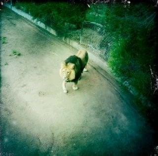 Photo of Tyler J.