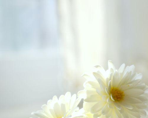 photo of Jennifer G.