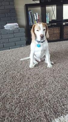 photo of Drew-Nicole D.