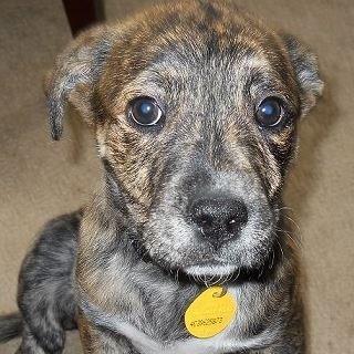 photo of Elizabeth Z.