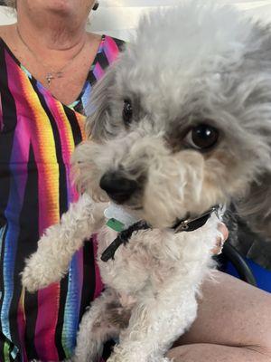 photo of Elizabeth O.