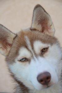 photo of Nicholas W.