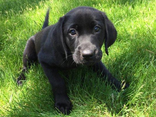 photo of Michelle H.