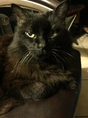 photo of Jennifer W.