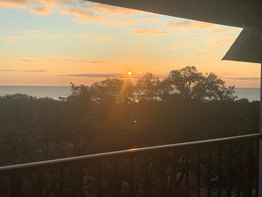 photo of Dallas N Michelle A.