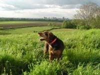 Photo of Dooie A.