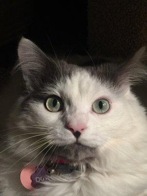 photo of Jennifer P.