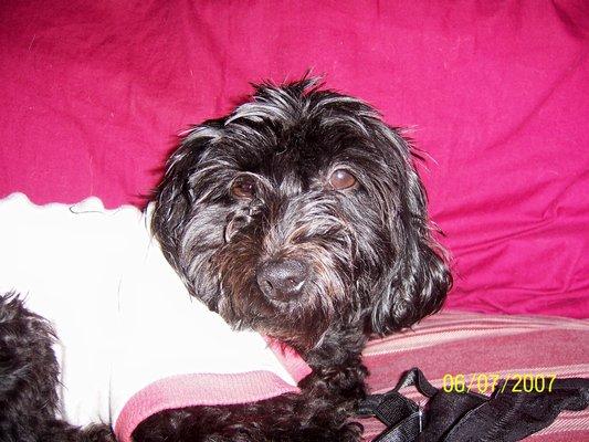 photo of Stephanie M.