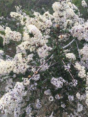 photo of Brittany P.