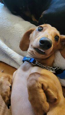 photo of Cheyanne D.