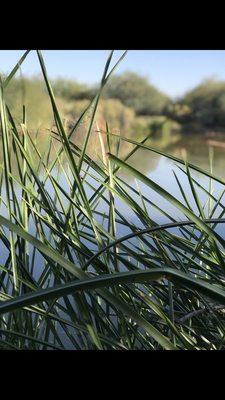 photo of Baltazar T.