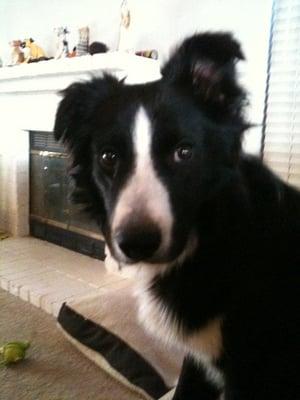 Photo of Jill T.
