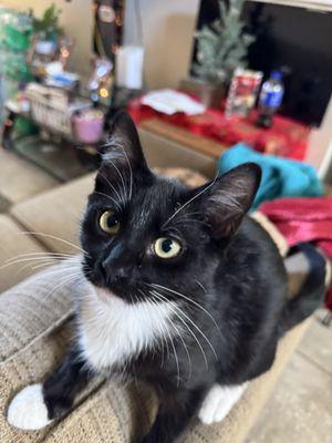 Photo of Simply E.
