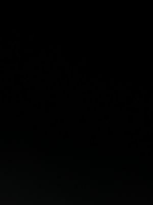 Photo of Calibrii O.