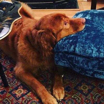 Photo of Ashley Thames B.