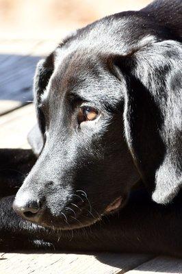 photo of Jennifer T.