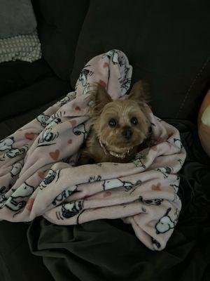 photo of Stephanie M.