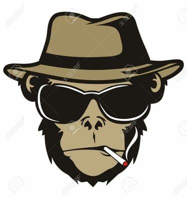 Photo of Monkey M.