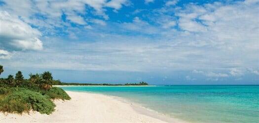 Photo of Michelle A.