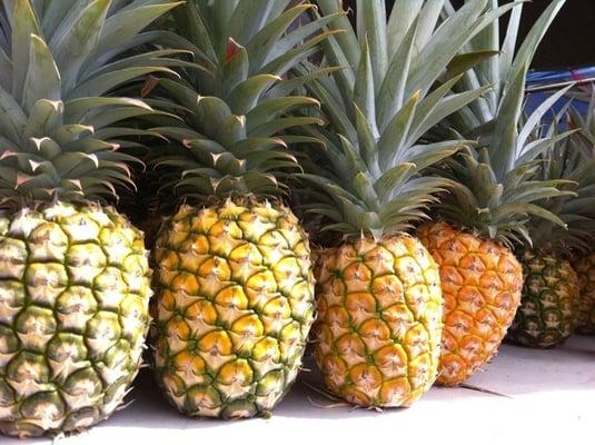 Photo of Stephanie M.