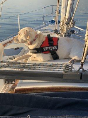 photo of Jennifer F.