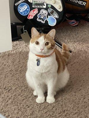 Photo of Emmie O.