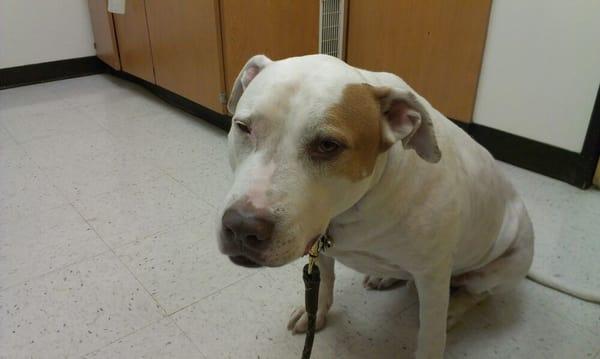 photo of Wen Hang L.