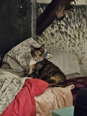 Photo of mckenzie w.