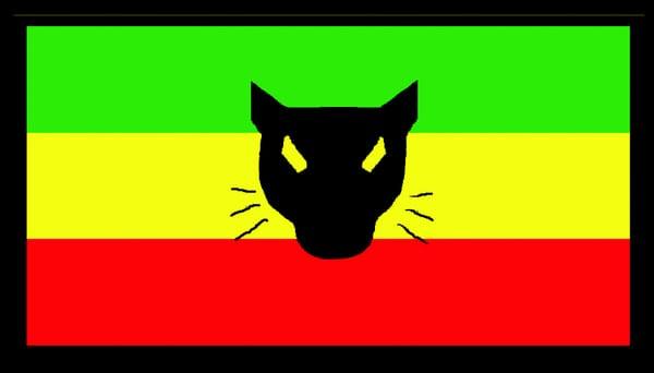 Photo of Cat R.