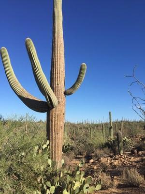 photo of Michelle M.