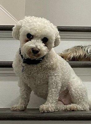 photo of Brittany P.