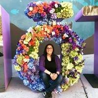Photo of Renee H.