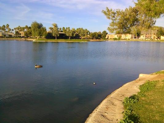 photo of Califgryl15 S.