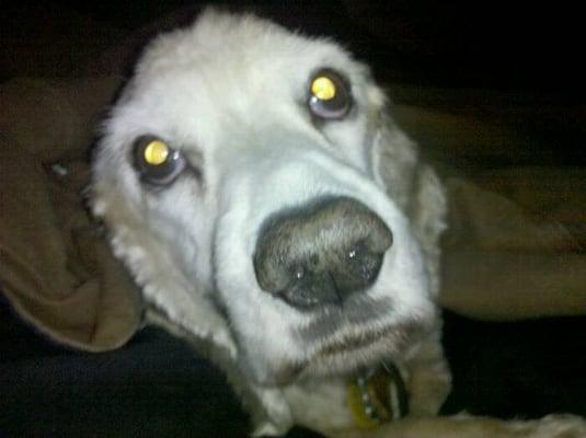 Photo of Putty B.