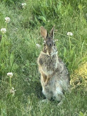 Photo of Just My Opinion 1.