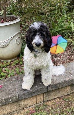 photo of Fletcher D.