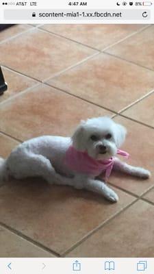 Photo of Nicki C.