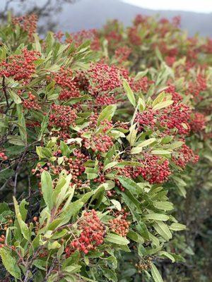 photo of Viktoriya A.