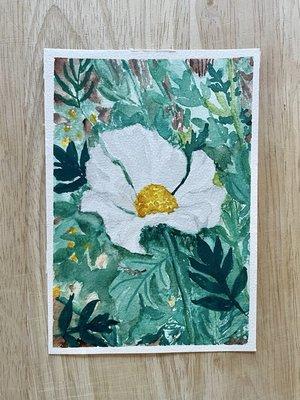 photo of Marianne O.