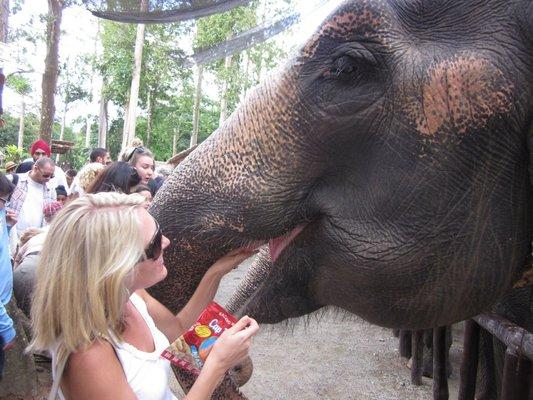 Photo of Michelle M.