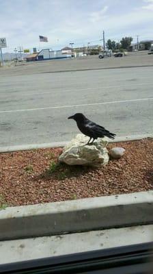 photo of Christina R.