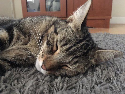 photo of Rhiannon R.