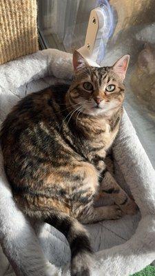 photo of Christina H.