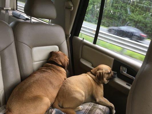 Photo of Danielle A.