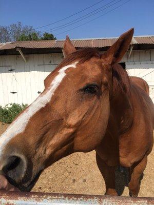 photo of Caroline L.